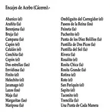 Tipos de encaje de bolillos en Acebo. www.sierradegatadigital.es