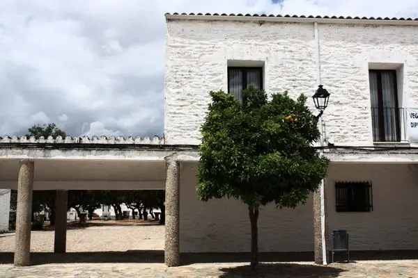 Vegaviana 201499