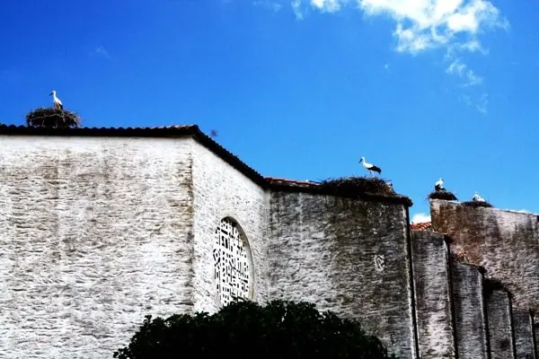 Vegaviana 201457