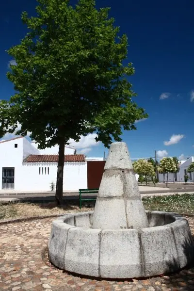 Vegaviana 201429