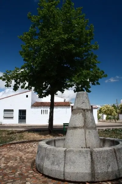 Vegaviana 201430