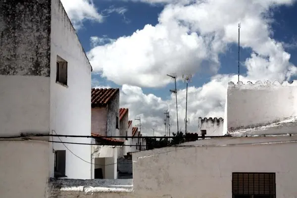 Vegaviana 201435