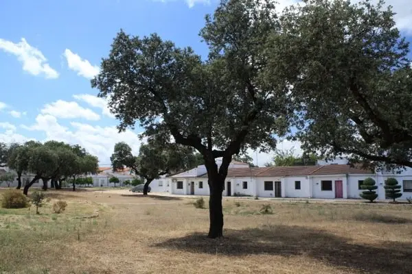 Vegaviana 201444