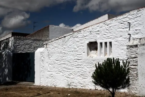 Vegaviana