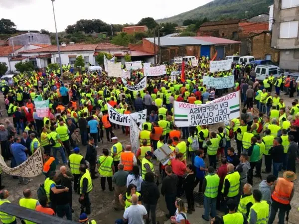Manifestaci&oacute;n por un precio justo para la manzanilla cacere&ntilde;a