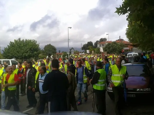 Manifestaci&oacute;n de los olivareros por un precio justo