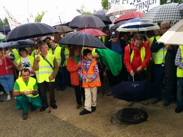Manifestaci&oacute;n de los olivareros por un precio justo