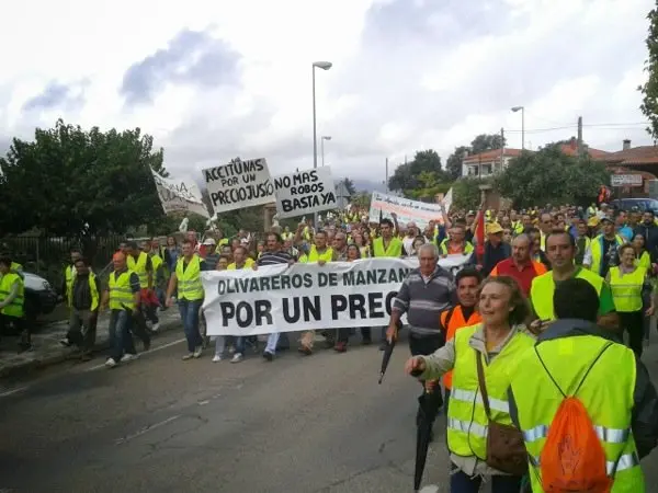 Manifestaci&oacute;n de los olivareros por un precio justo