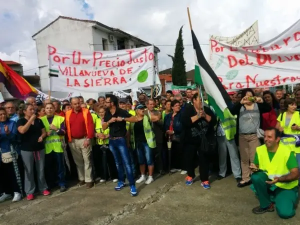 Manifestaci&oacute;n de los olivareros por un precio justo