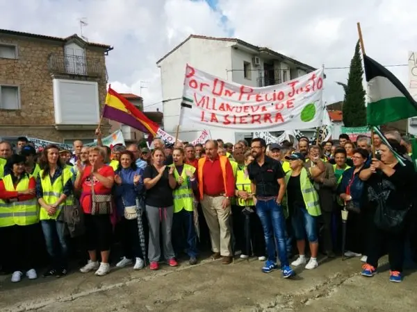 Manifestaci&oacute;n de los olivareros por un precio justo