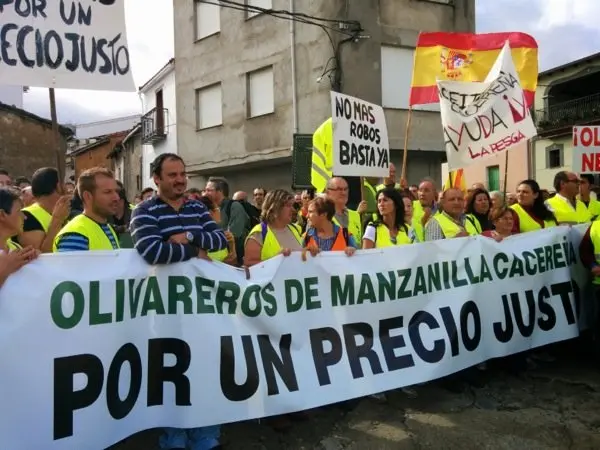 Manifestaci&oacute;n de los olivareros por un precio justo