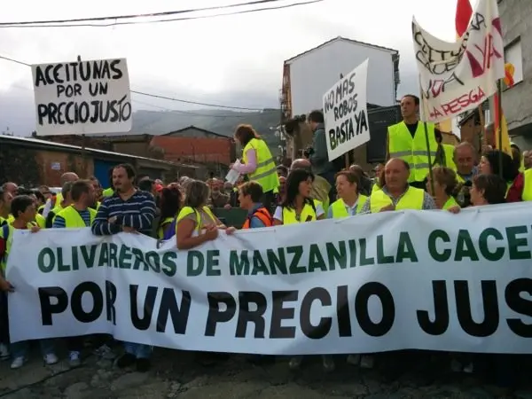 Llegada de la columna de Torrecilla de los &Aacute;ngeles a Villanueva de la Sierra