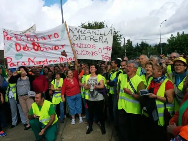 Manifestaci&oacute;n de los olivareros por un precio justo