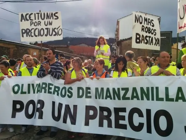 Manifestaci&oacute;n de los olivareros por un precio justo