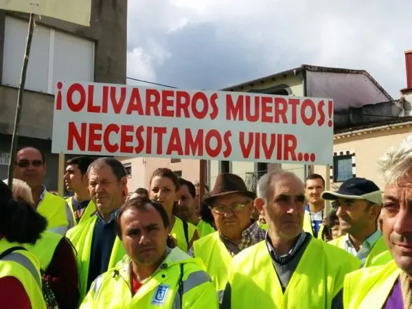 Manifestaci&oacute;n de los olivareros por un precio justo