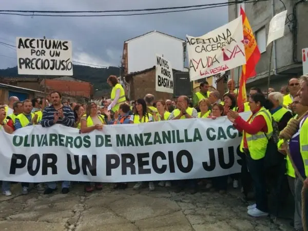 Manifestaci&oacute;n de los olivareros por un precio justo