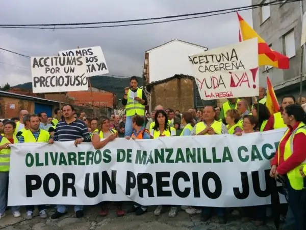 Manifestaci&oacute;n de los olivareros por un precio justo