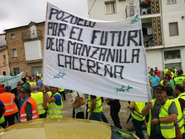 Manifestaci&oacute;n de los olivareros por un precio justo