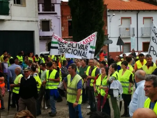Manifestaci&oacute;n de los olivareros por un precio justo