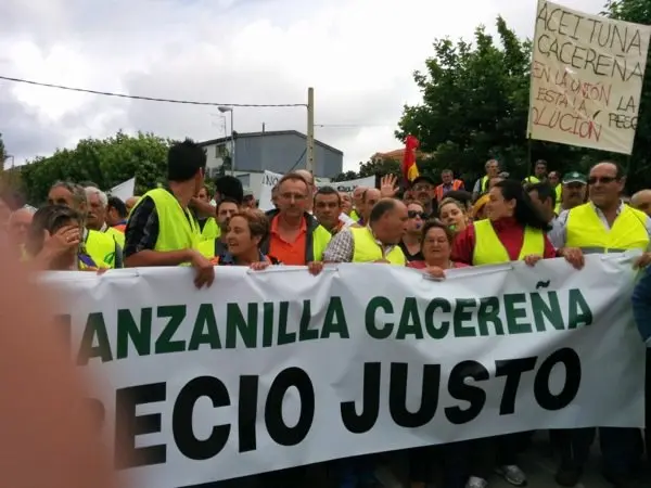 Manifestaci&oacute;n de los olivareros por un precio justo
