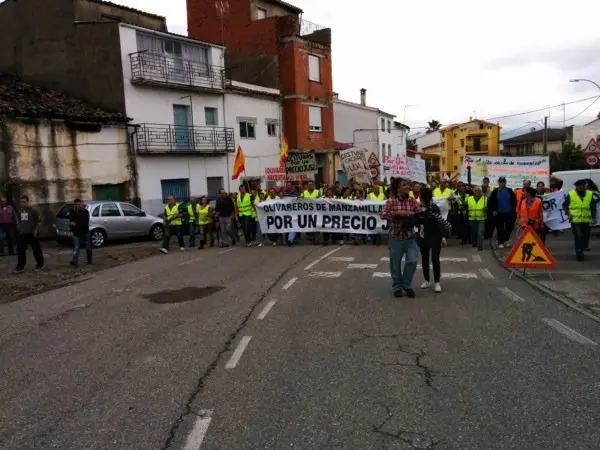 Manifestaci&oacute;n de los olivareros por un precio justo