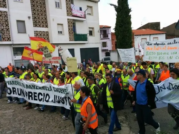 Manifestaci&oacute;n de los olivareros por un precio justo