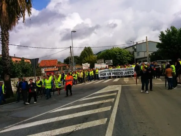 Manifestaci&oacute;n de los olivareros por un precio justo