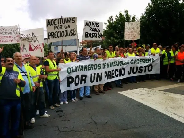 Manifestaci&oacute;n de los olivareros por un precio justo