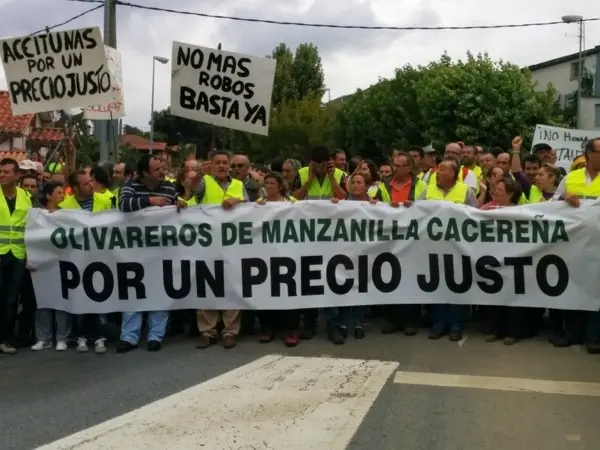 Manifestaci&oacute;n de los olivareros por un precio justo