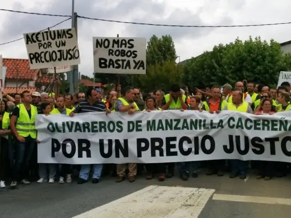 Manifestaci&oacute;n de los olivareros por un precio justo
