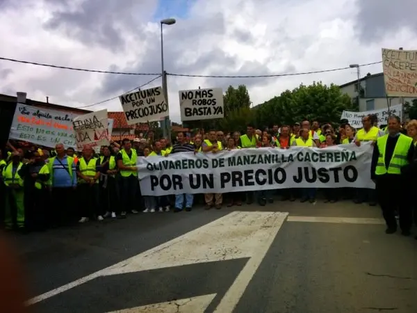 Manifestaci&oacute;n de los olivareros por un precio justo