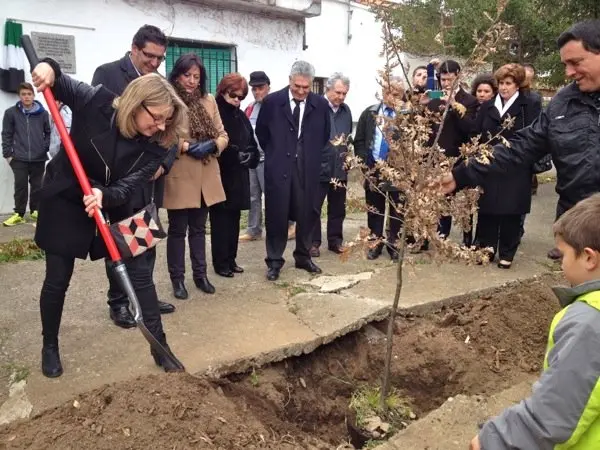 La vicepresidenta Teniente echa tierra sobre el roble