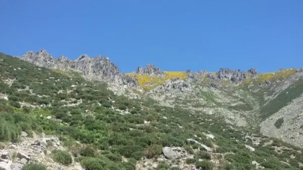 III ruta 14 Dosmil del Club Valcorchero. IMAGEN CEDIDA POR ANG&Eacute;LICA MONTEJO