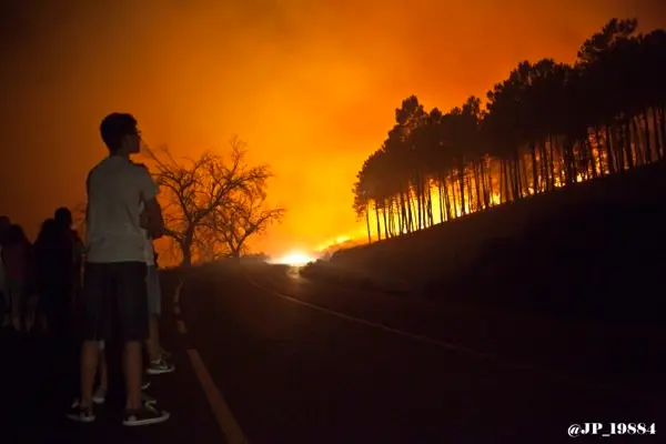 Un joven contempla en lontananza el incendio sufrido en Gata la madrugada del lunes, d&iacute;a 27 de julio. MAGEN DE JOS&Eacute; PABLO P&Eacute;REZ en un &aacute;lbum publicado por www.sierradegatadigital.es