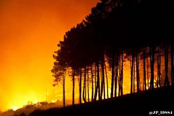 El incendio de Gata ha calcinado 120 hect&aacute;reas de pinar, monte bajo y olivar. MAGEN DE JOS&Eacute; PABLO P&Eacute;REZ en un &aacute;lbum publicado por www.sierradegatadigital.es