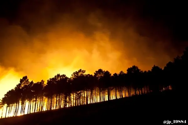 El incendio de Gata se origin&oacute; la madrugada del lunes 27 en la zona del Fort&iacute;n. IMAGEN DE JOS&Eacute; PABLO P&Eacute;REZ en un &aacute;lbum publicado por www.sierradegatadigital.es