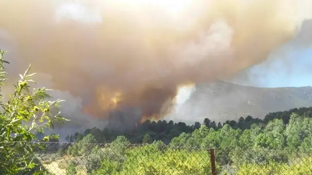 Incendio del 5 de agosto en Acebo. BATALL&Oacute;N T15