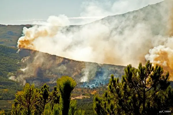 Humareda y llamas en el incendio de Acebo. IMAGEN DE JP P&Eacute;REZ para www.sierradegatadigital.es copia