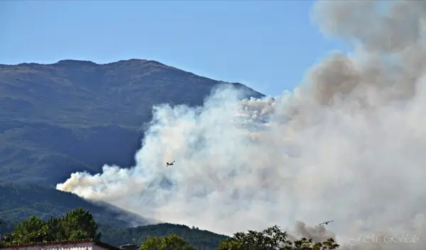 Im&aacute;genes del incendio iniciado el d&iacute;a 6 de agosto en Acebo que ahora recorre la Sierra. Un &Aacute;LBUM de JOS&Eacute; MANUEL ROBLEDO VINAGRE para www.sierradegatadigital.es