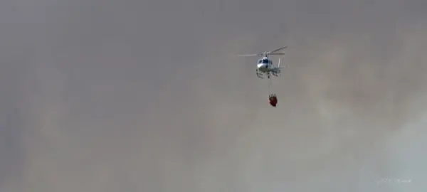 Im&aacute;genes del incendio iniciado el d&iacute;a 6 de agosto en Acebo que ahora recorre la Sierra. Un &Aacute;LBUM de JOS&Eacute; MANUEL ROBLEDO VINAGRE para www.sierradegatadigital.es