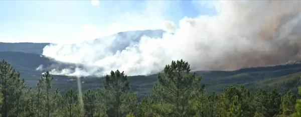Im&aacute;genes del incendio iniciado el d&iacute;a 6 de agosto en Acebo que ahora recorre la Sierra. Un &Aacute;LBUM de JOS&Eacute; MANUEL ROBLEDO VINAGRE para www.sierradegatadigital.es
