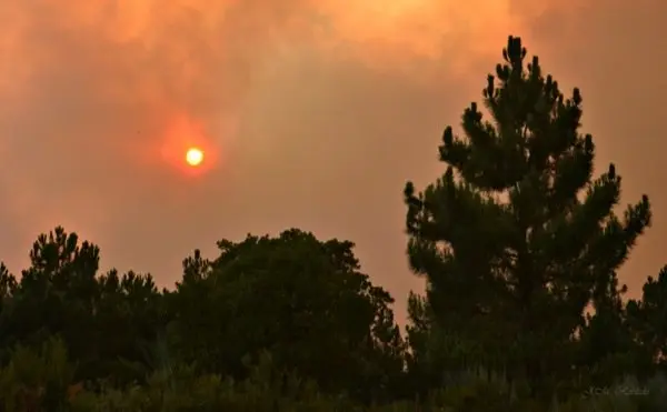 Im&aacute;genes del incendio iniciado el d&iacute;a 6 de agosto en Acebo que ahora recorre la Sierra. Un &Aacute;LBUM de JOS&Eacute; MANUEL ROBLEDO VINAGRE para www.sierradegatadigital.es