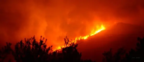 Im&aacute;genes del incendio iniciado el d&iacute;a 6 de agosto en Acebo que ahora recorre la Sierra. Un &Aacute;LBUM de JOS&Eacute; MANUEL ROBLEDO VINAGRE para www.sierradegatadigital.es
