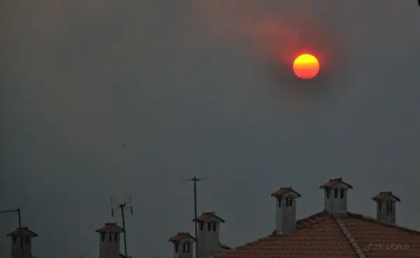 Im&aacute;genes del incendio iniciado el d&iacute;a 6 de agosto en Acebo que ahora recorre la Sierra. Un &Aacute;LBUM de JOS&Eacute; MANUEL ROBLEDO VINAGRE para www.sierradegatadigital.es