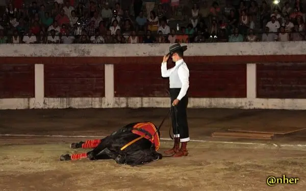 16. Los jinetes asombraron al p&uacute;blico con sus caballos en el Festival Solidario de Villamiel con los damnificados en el incendio de Sierra de Gata. Un &aacute;lbum de ANHER publicado en www.sierradegatadigital.es                            