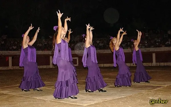 13. Arte flamenco y serrano en el Festival Solidario de Villamiel con los damnificados en el incendio de Sierra de Gata. Un &aacute;lbum de ANHER publicado en www.sierradegatadigital.es                            