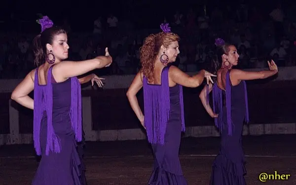 14. Arte flamenco y serrano en el Festival Solidario de Villamiel con los damnificados en el incendio de Sierra de Gata. Un &aacute;lbum de ANHER publicado en www.sierradegatadigital.es                               