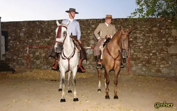 11. Elegancia ecuestre en el Festival solidario de Villamiel con los damnificados en el incendio de Sierra de Gata. Un &aacute;lbum de ANHER publicado en www.sierradegatadigital.es                                 