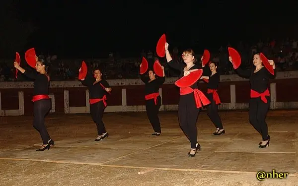 18. Arte flamenco y serrano en el Festival Solidario de Villamiel con los damnificados en el incendio de Sierra de Gata. Un &aacute;lbum de ANHER publicado en www.sierradegatadigital.es                                   