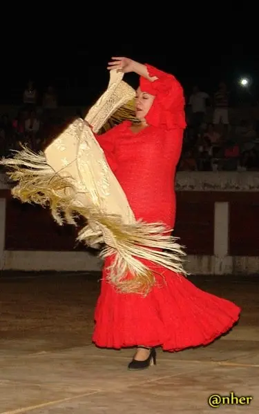19. Arte flamenco y serrano en el Festival Solidario de Villamiel con los damnificados en el incendio de Sierra de Gata. Un &aacute;lbum de ANHER publicado en www.sierradegatadigital.es                                   